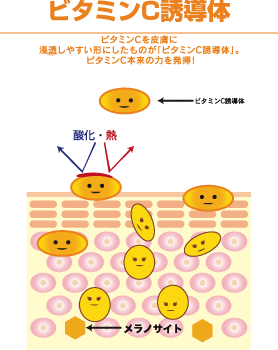 美白のためのローション